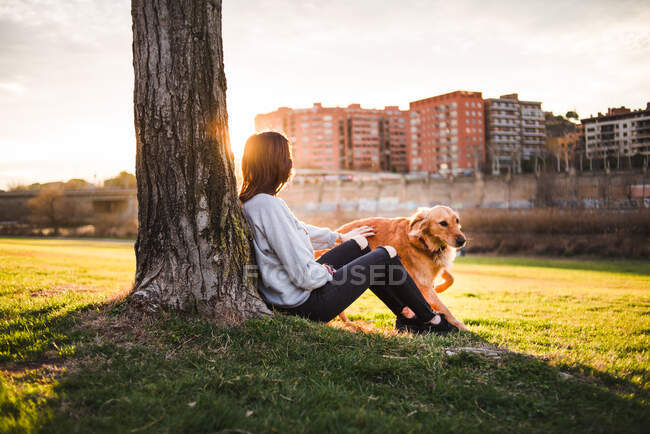 Side view of casual woman sitting with dog under tree with view of city in sunset light on background. — Stock Photo