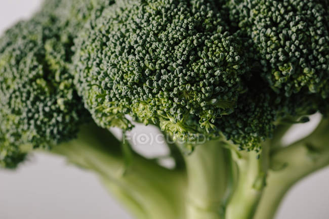 Primer plano de la cabeza verde fresca de col de brócoli - foto de stock