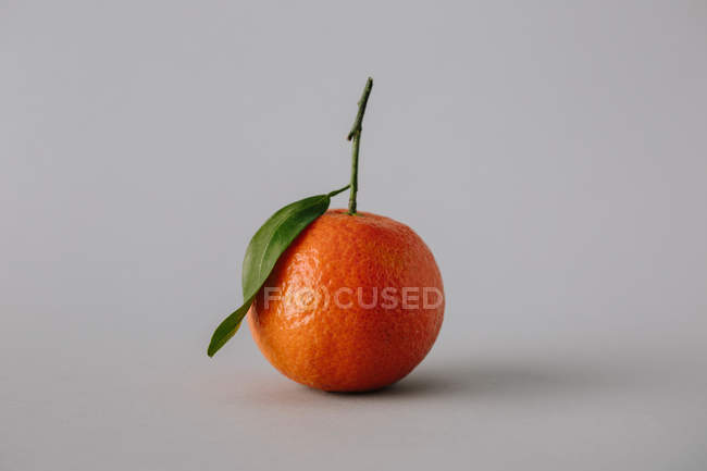Mandarina fresca madura sin pelar con hoja verde sobre fondo gris - foto de stock