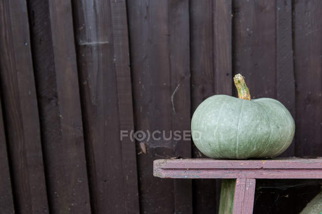 Green pumpkin on bench near lumber wall of cabin in countryside — Stock Photo
