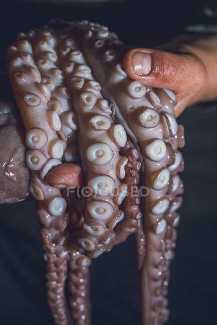 L'homme tient une pieuvre crue dans ses mains. Photo sombre. — Photo de stock