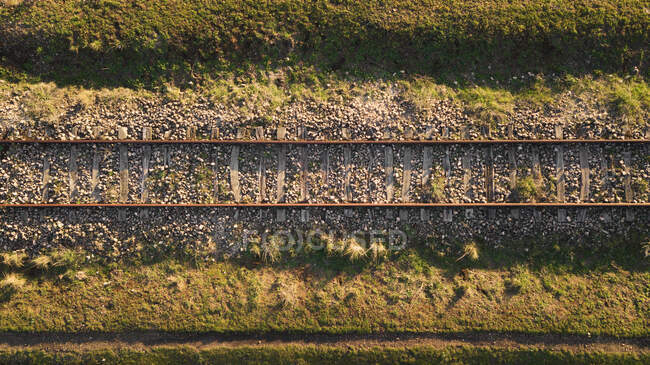Alte Eisenbahn über schmutzigem Fluss im Wald bei Sonneneinstrahlung? Bäume — Stockfoto