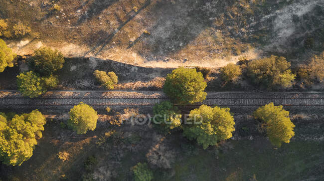 Aerial abandoned train ways on sunlight in empty place with summer trees — Stock Photo