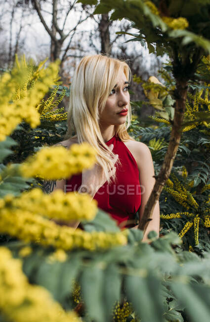 Young woman standing in nature — Stock Photo