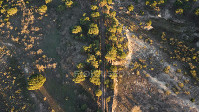 Caminhos de trem abandonados aéreos na luz solar em lugar vazio com árvores de verão — Fotografia de Stock
