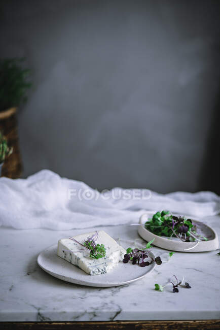 Blue cheese with herb on desk — Stock Photo