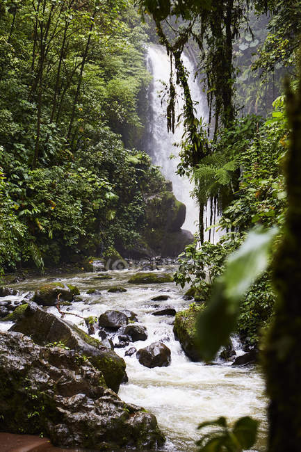Cachoeira na floresta tropical verde, Costa Rica, América Central — Fotografia de Stock
