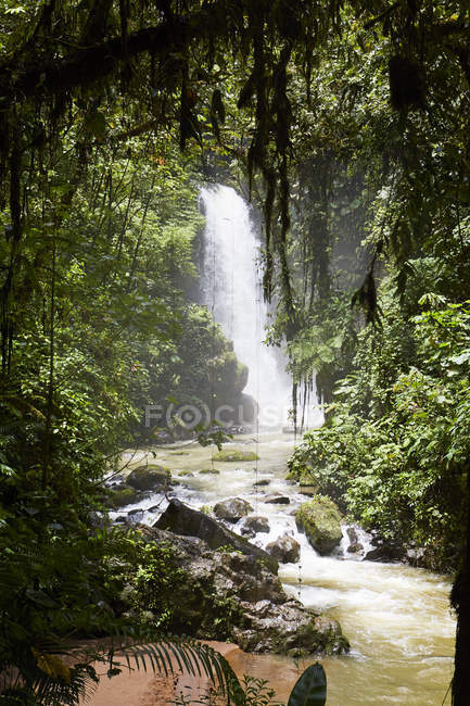 Waterfall in green rainforest, Costa Rica, Central America — Stock Photo