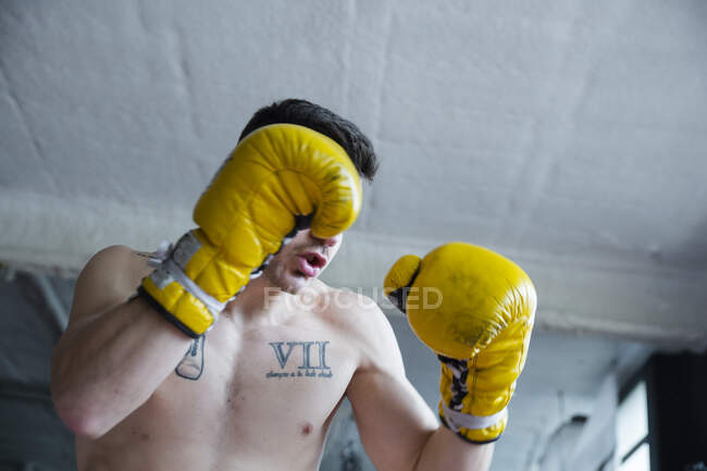 Combattant sportif sans chemise confiant debout avec les poings levés et regardant la caméra. — Photo de stock