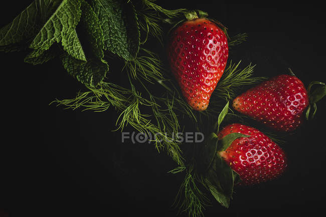 Close-up de morangos deliciosos texturizados com ervas no fundo preto — Fotografia de Stock