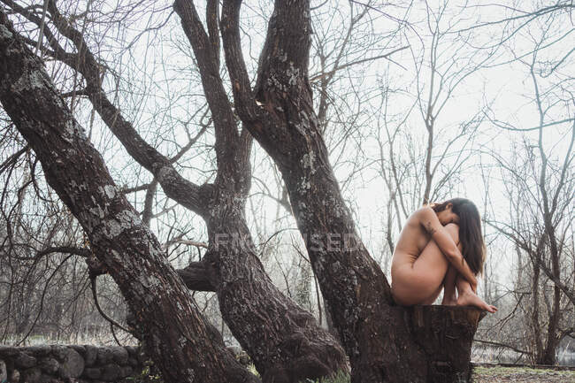 Femme assise sur un arbre les yeux fermés — Photo de stock