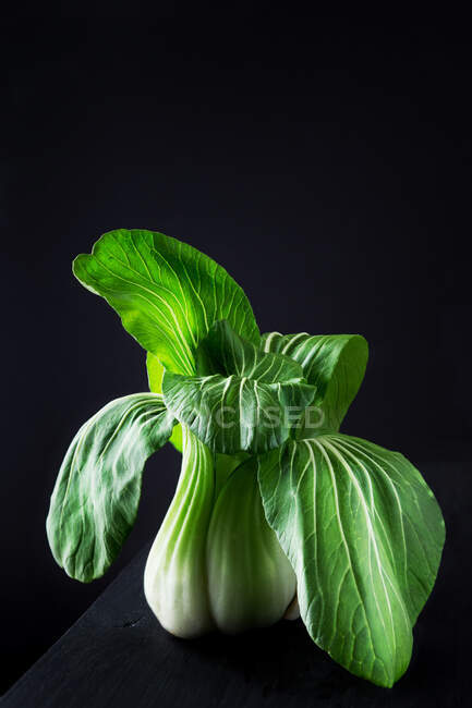 Bok choy in black background — Stock Photo
