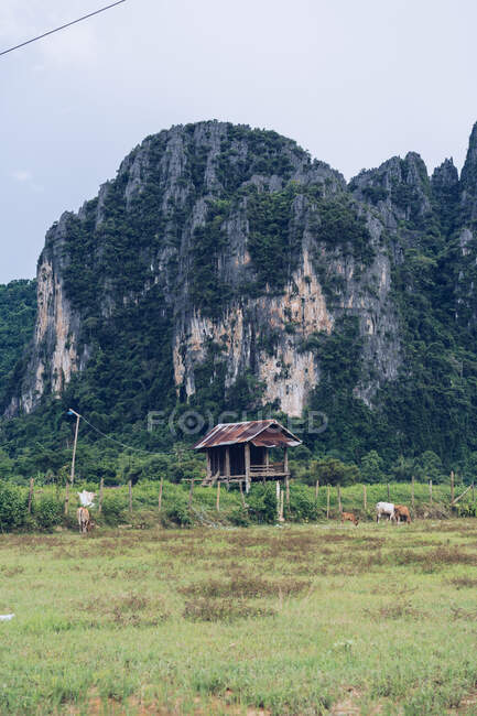 Small hut at green cliff — Stock Photo