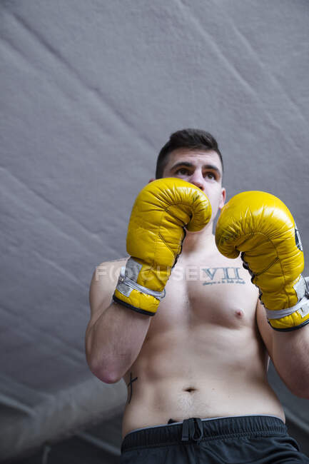 Confident shirtless sportsman fighter standing with fists up and looking at camera. — Stock Photo
