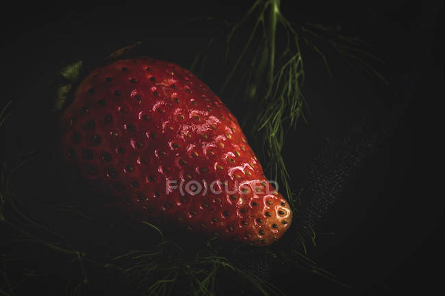 Textura deliciosa fresa con eneldo sobre fondo negro - foto de stock