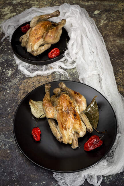 Pollo asado con cebolla, ajo; pimientos y hierbas aromáticas - foto de stock