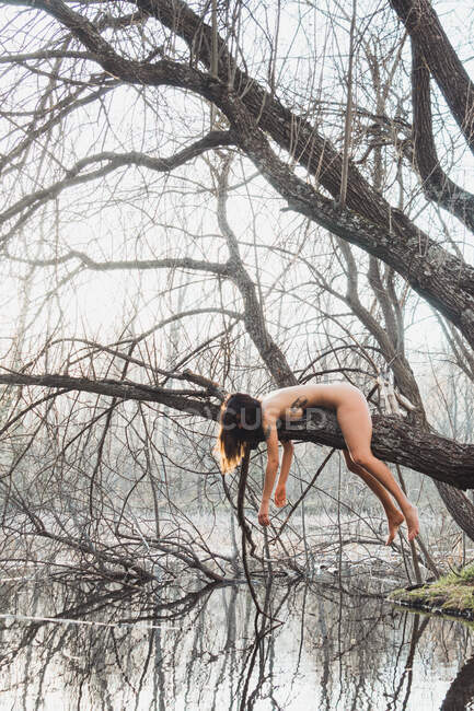 Jeune femme nue avec des tatouages sur le bois dans la forêt au-dessus de l'eau — Photo de stock