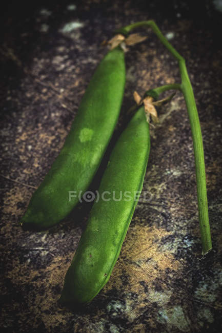 Vainas de guisantes verdes sobre fondo oscuro y malhumorado - foto de stock