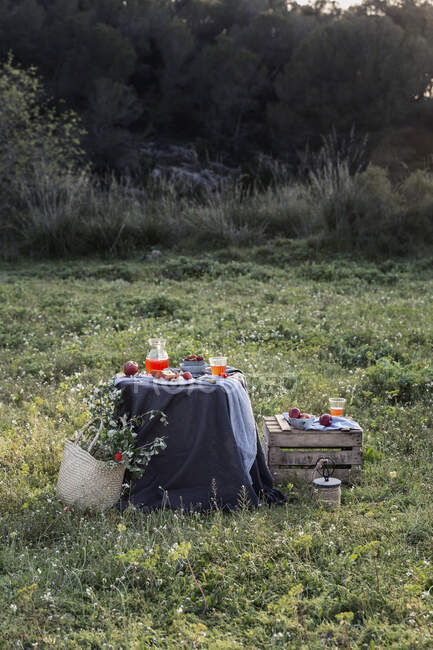Picnic romántico con manzanas sobre hierba - foto de stock