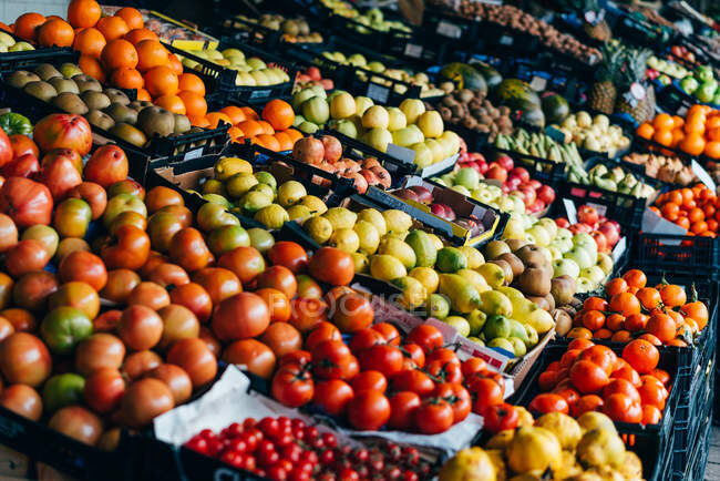 Contatore con diversi succosi frutti colorati sul mercato. — Foto stock