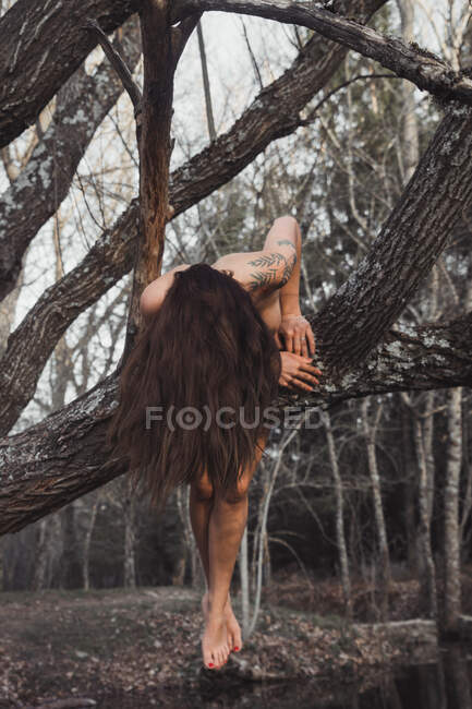 Mujer desnuda acostada en el árbol - foto de stock