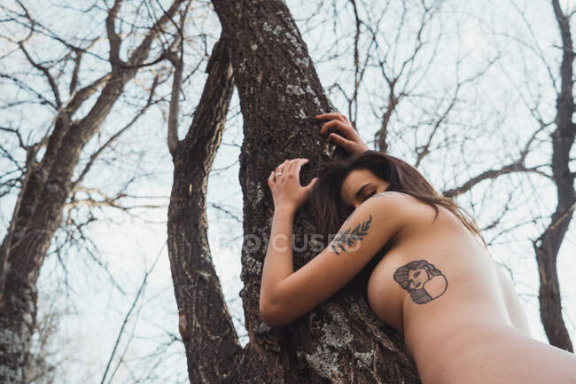 Beautiful naked lady with tattoos in forest — Stock Photo