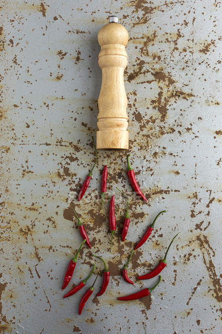 Gewürzmühle und rote Paprika auf rostigem, rauem Hintergrund — Stockfoto
