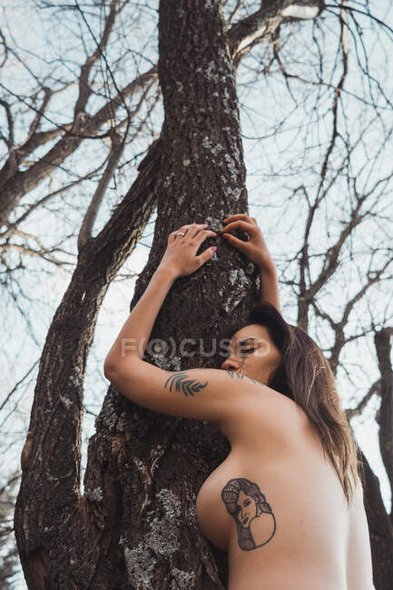 Nude woman staying with eyes closed above tree in autumn and relaxing — Stock Photo