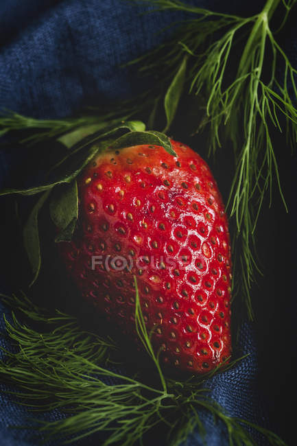 Textured delicious strawberry with dill on black background — Stock Photo