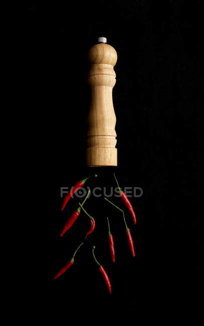 Spice mill and red peppers on black background — Stock Photo