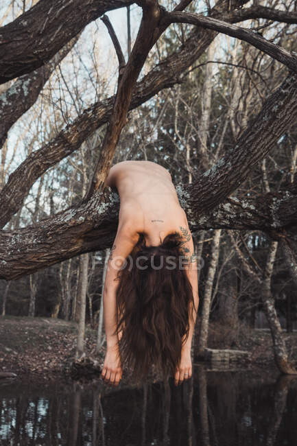 Mulher nua deitada na árvore — Fotografia de Stock