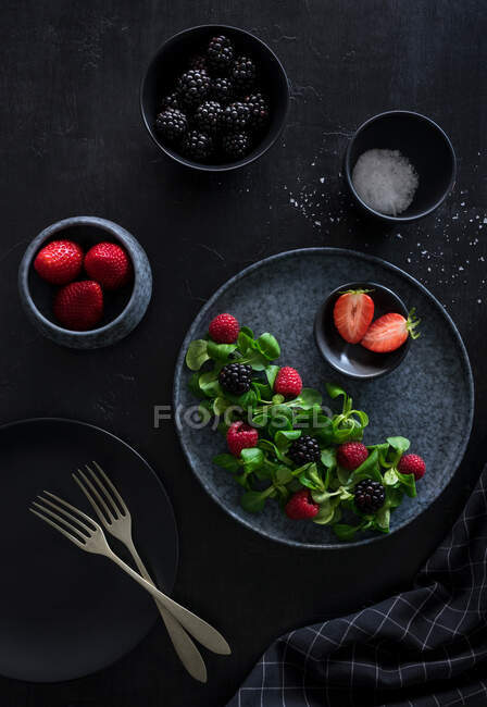 Salada de bagas em uma atmosfera escura — Fotografia de Stock