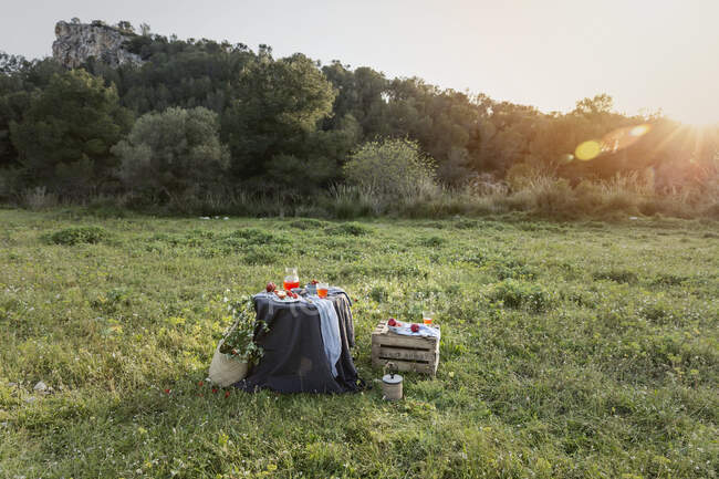 Piquenique romântico com maçãs na grama — Fotografia de Stock