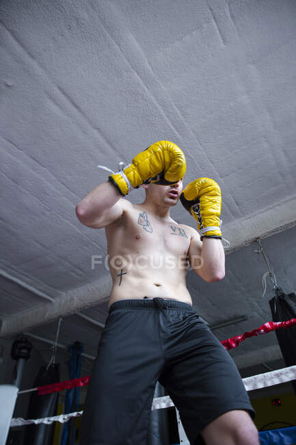Confiado deportista luchador sin camisa de pie con los puños en alto y mirando a la cámara. - foto de stock