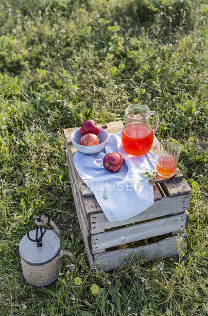 De arriba de la caja de madera con la servilleta servida y el vaso de la limonada con las manzanas en la escudilla en el prado. - foto de stock