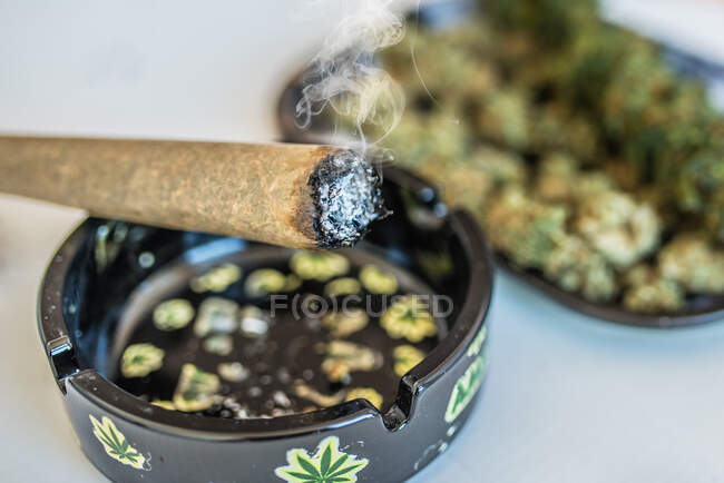 Marihuana oder Cannabispflanze und eine Pizza — Stockfoto