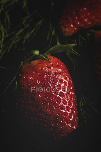 Close-up de morango delicioso texturizado em fundo preto — Fotografia de Stock