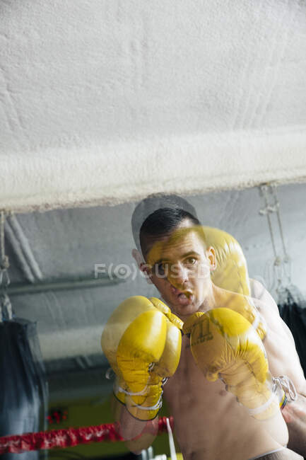 Боксер в жовтих рукавичках, що стоять на кільці і погано себе почувають під час бою . — стокове фото