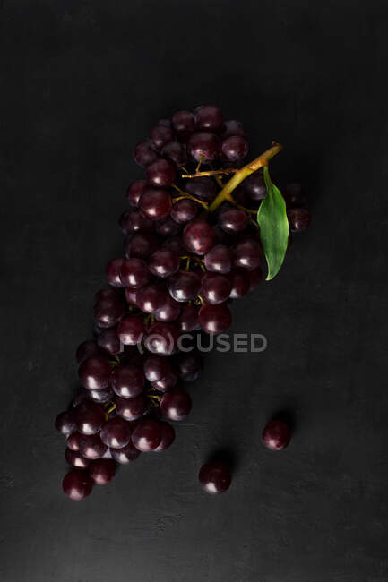 Von oben eine Traube frischer roter Trauben auf dunklem Hintergrund. — Stockfoto