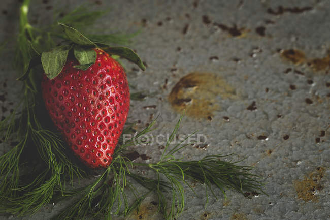 Primer plano de textura deliciosa fresa en la superficie gris con eneldo - foto de stock