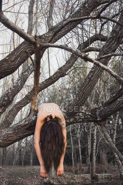Nackte Frau liegt auf Baum — Stockfoto