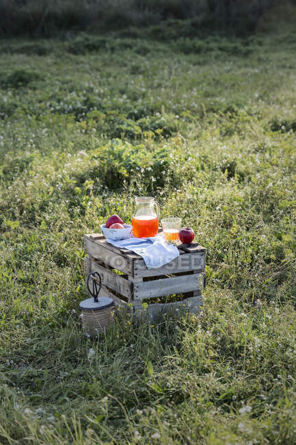 Romantic picnic with apples on grass — Stock Photo