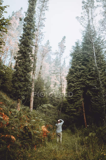 Fotógrafo tirando foto na estrada na floresta — Fotografia de Stock