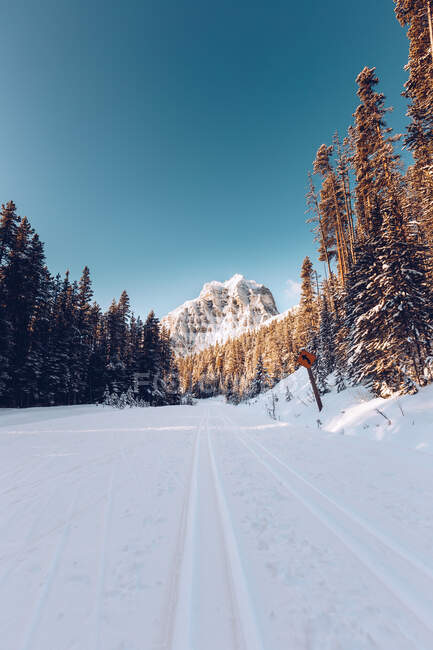 Snowy road at Canada — Stock Photo