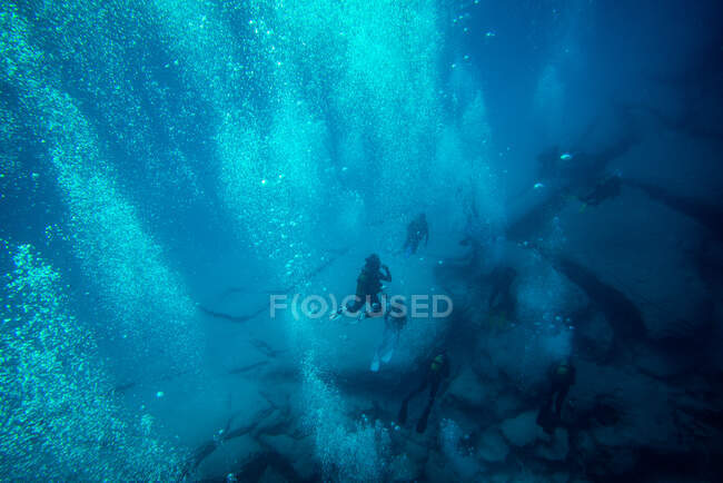 Mergulhadores em imersão, fuerteventura ilhas canárias — Fotografia de Stock