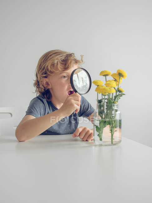 Хлопчик зі збільшувальним склом дивиться на кульбаби — стокове фото