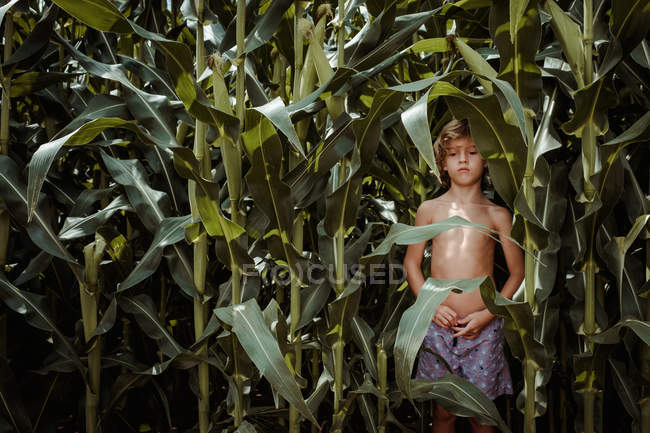 Enfant sérieux avec torse nu et mains croisées près de la ceinture, debout entre les plants de maïs — Photo de stock