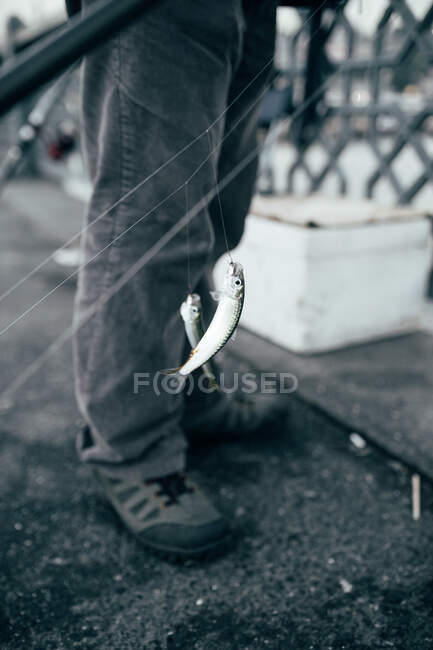 Tiny fish hanging on thin line near crop legs of man on street of Istanbul — Stock Photo
