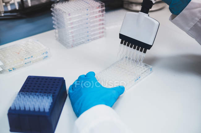 Manos de la persona en guantes de goma azul y uniforme blanco haciendo investigación médica con ayuda de equipos de laboratorio - foto de stock