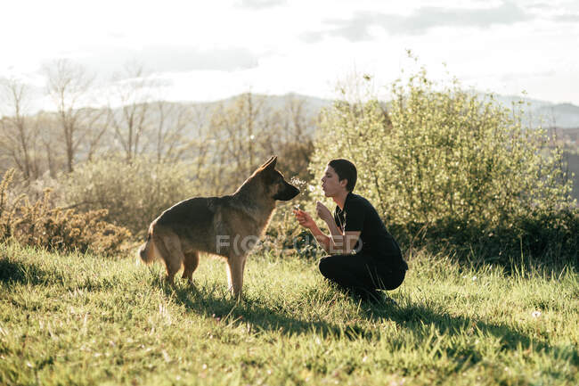 Чоловік грає з собакою в природі — стокове фото